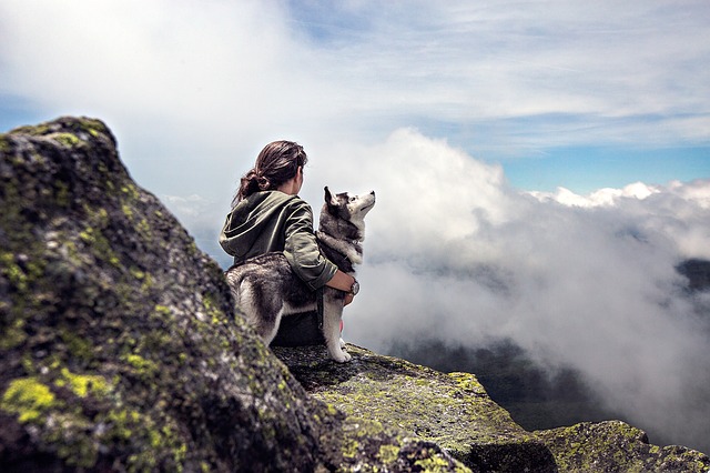 Are Dogs Really a Man’s Best Friend?